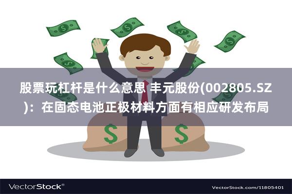 股票玩杠杆是什么意思 丰元股份(002805.SZ)：在固态电池正极材料方面有相应研发布局