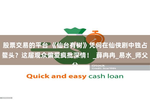 股票交易的平台 《仙台有树》凭何在仙侠剧中独占鳌头？这届观众偏爱疯批深情！_薛冉冉_易水_师父
