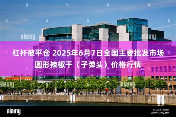 杠杆被平仓 2025年6月7日全国主要批发市场圆形辣椒干（子弹头）价格行情