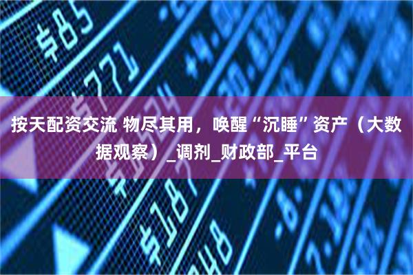按天配资交流 物尽其用，唤醒“沉睡”资产（大数据观察）_调剂_财政部_平台
