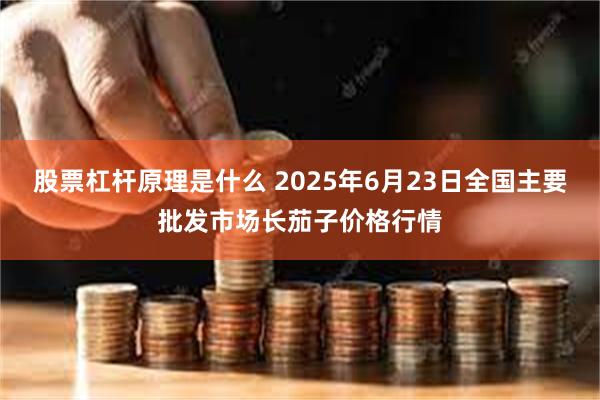 股票杠杆原理是什么 2025年6月23日全国主要批发市场长茄子价格行情