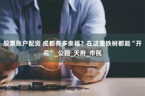 股票账户配资 成都有多幸福？在这里铁树都能“开花”_公园_天府_市民