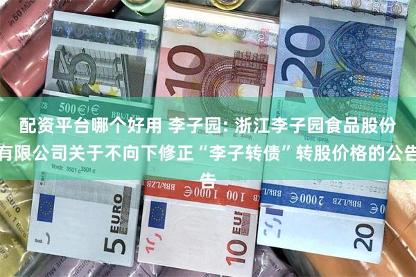 配资平台哪个好用 李子园: 浙江李子园食品股份有限公司关于不向下修正“李子转债”转股价格的公告