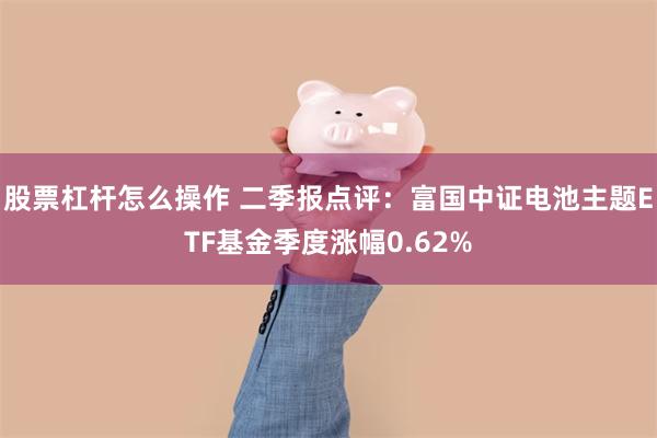 股票杠杆怎么操作 二季报点评：富国中证电池主题ETF基金季度涨幅0.62%