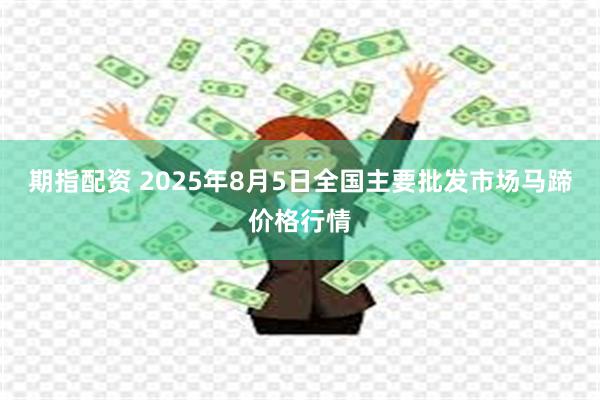 期指配资 2025年8月5日全国主要批发市场马蹄价格行情