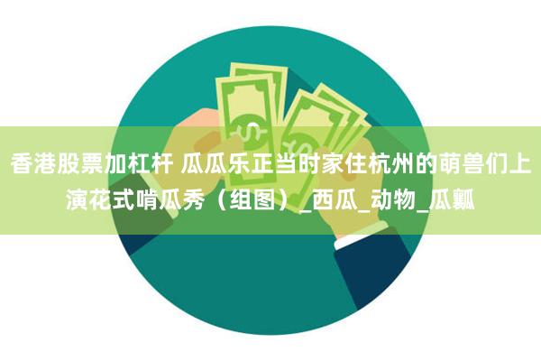 香港股票加杠杆 瓜瓜乐正当时家住杭州的萌兽们上演花式啃瓜秀（组图）_西瓜_动物_瓜瓤