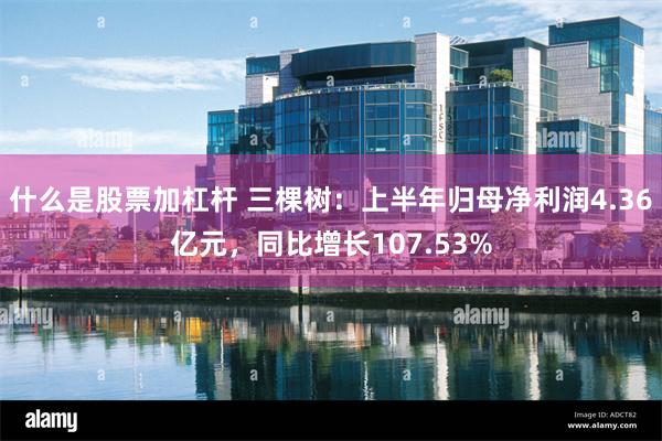什么是股票加杠杆 三棵树：上半年归母净利润4.36亿元，同比增长107.53%