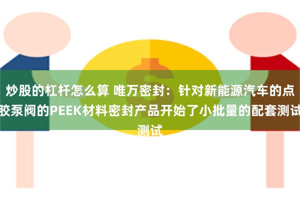 炒股的杠杆怎么算 唯万密封:针对新能源汽车的点胶泵阀的PEEK材料密封产品开始了小批量的配套测试