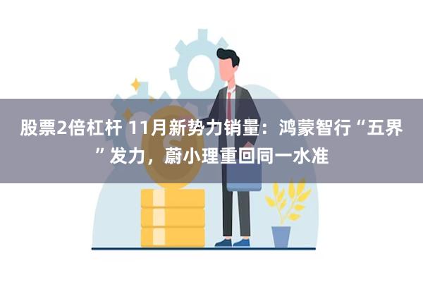 股票2倍杠杆 11月新势力销量:鸿蒙智行“五界”发力,蔚小理重回同一水准