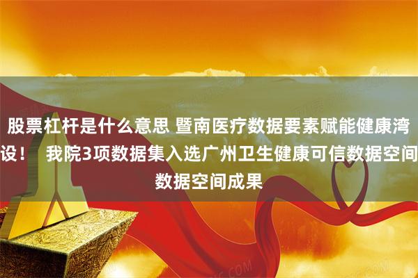 股票杠杆是什么意思 暨南医疗数据要素赋能健康湾区建设！  我院3项数据集入选广州卫生健康可信数据空间成果