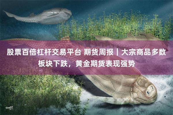 股票百倍杠杆交易平台 期货周报｜大宗商品多数板块下跌，黄金期货表现强势