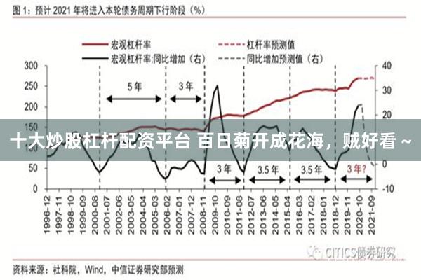 十大炒股杠杆配资平台 百日菊开成花海,贼好看~