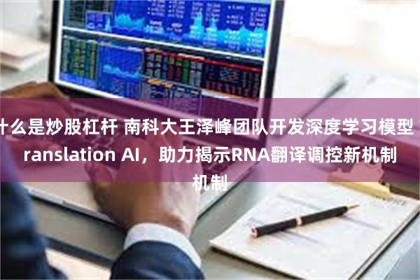 什么是炒股杠杆 南科大王泽峰团队开发深度学习模型 Translation AI，助力揭示RNA翻译调控新机制