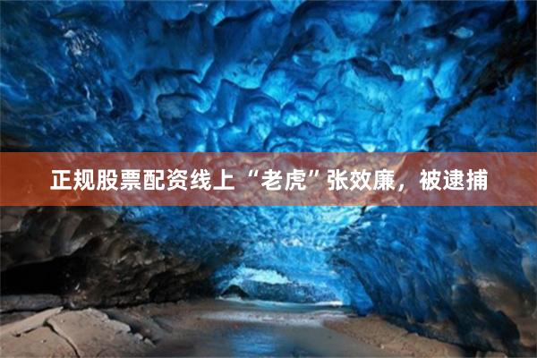 正规股票配资线上 “老虎”张效廉，被逮捕