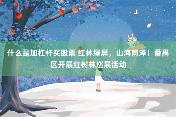什么是加杠杆买股票 红林绿屏，山海同泽！番禺区开展红树林巡展活动