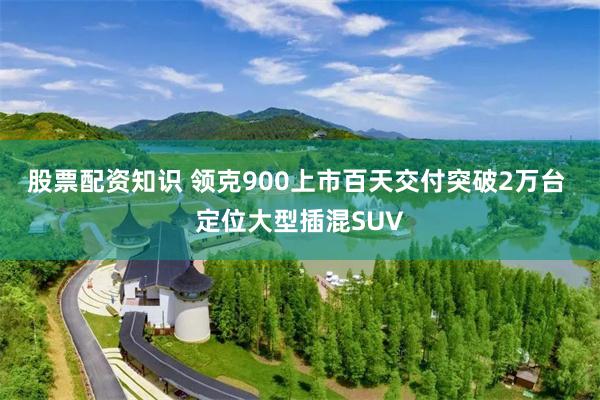 股票配资知识 领克900上市百天交付突破2万台 定位大型插混SUV