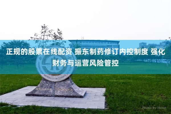 正规的股票在线配资 振东制药修订内控制度 强化财务与运营风险管控