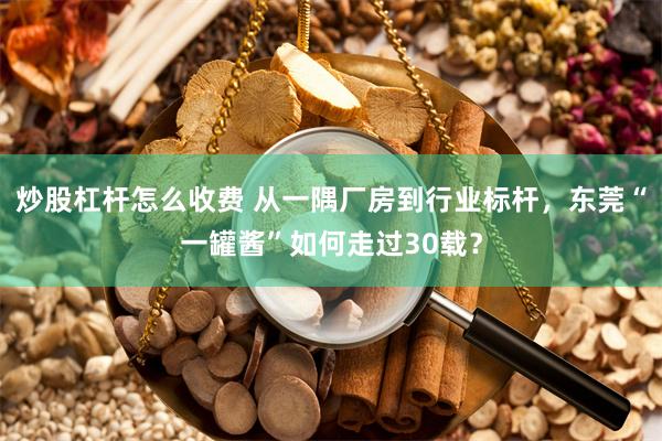 炒股杠杆怎么收费 从一隅厂房到行业标杆，东莞“一罐酱”如何走过30载？