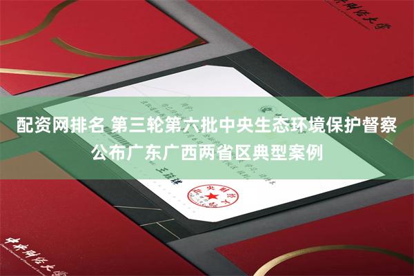 配资网排名 第三轮第六批中央生态环境保护督察公布广东广西两省区典型案例
