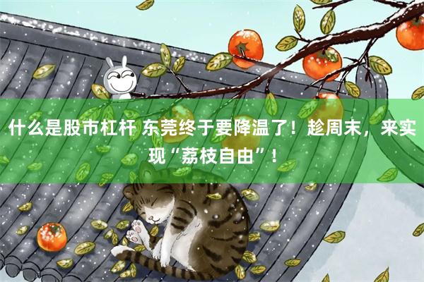 什么是股市杠杆 东莞终于要降温了!趁周末,来实现“荔枝自由”!