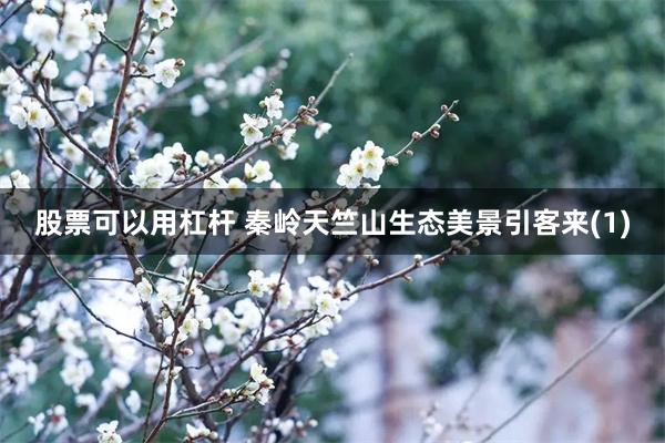 股票可以用杠杆 秦岭天竺山生态美景引客来(1)