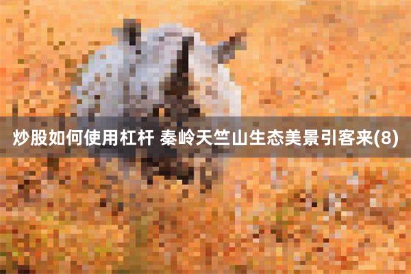 炒股如何使用杠杆 秦岭天竺山生态美景引客来(8)