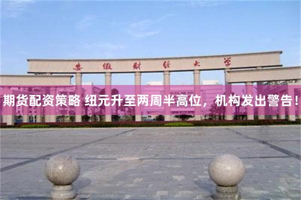 期货配资策略 纽元升至两周半高位，机构发出警告！