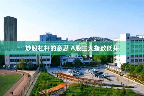 炒股杠杆的意思 A股三大指数低开