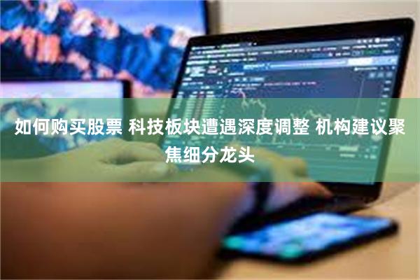 如何购买股票 科技板块遭遇深度调整 机构建议聚焦细分龙头