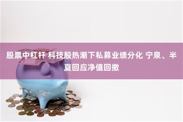 股票中杠杆 科技股热潮下私募业绩分化 宁泉、半夏回应净值回撤