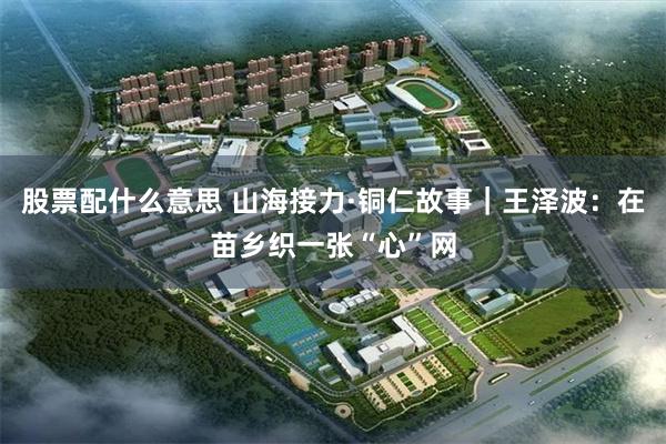 股票配什么意思 山海接力·铜仁故事｜王泽波：在苗乡织一张“心”网