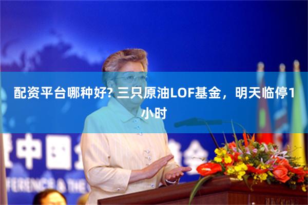 配资平台哪种好? 三只原油LOF基金，明天临停1小时