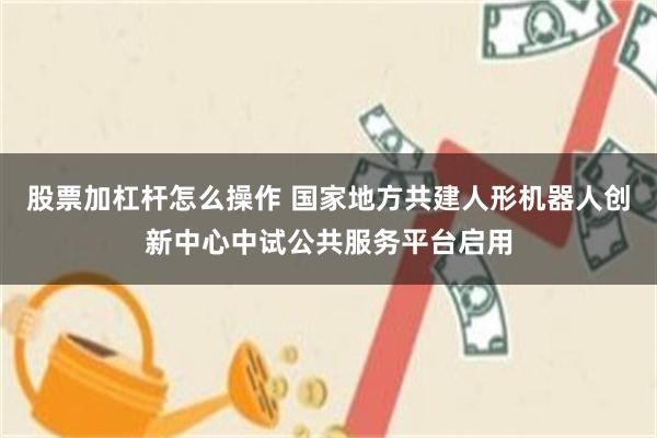 股票加杠杆怎么操作 国家地方共建人形机器人创新中心中试公共服务平台启用