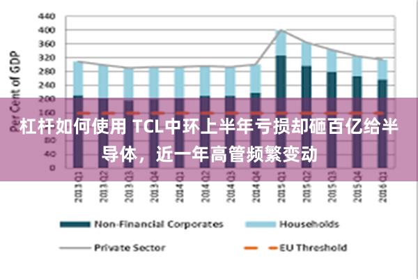 杠杆如何使用 TCL中环上半年亏损却砸百亿给半导体，近一年高管频繁变动