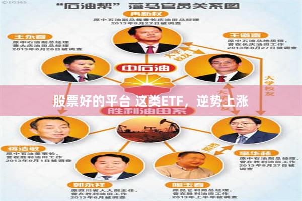 股票好的平台 这类ETF,逆势上涨