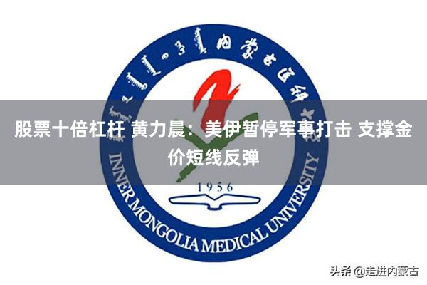 股票十倍杠杆 黄力晨：美伊暂停军事打击 支撑金价短线反弹