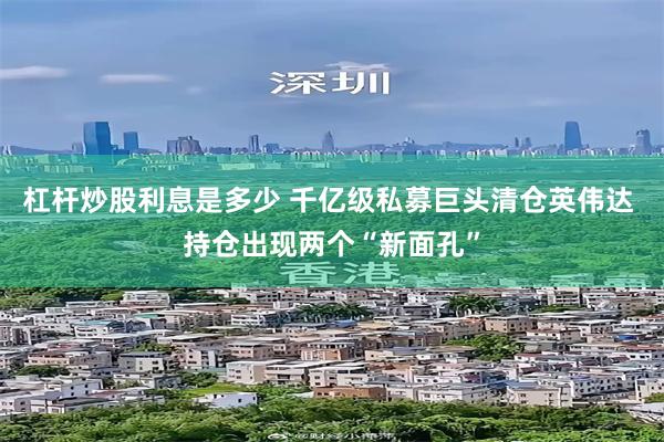 杠杆炒股利息是多少 千亿级私募巨头清仓英伟达 持仓出现两个“新面孔”