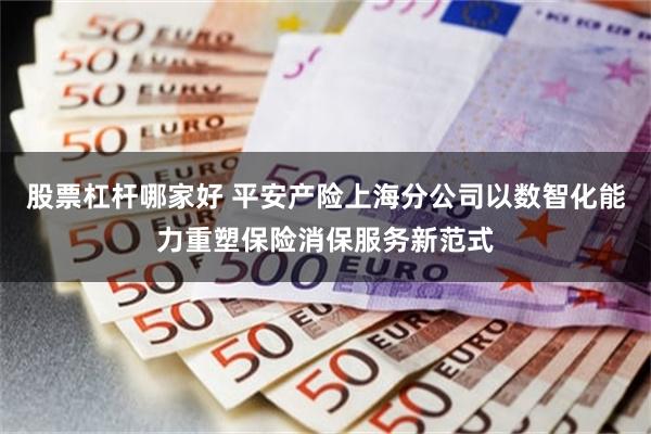 股票杠杆哪家好 平安产险上海分公司以数智化能力重塑保险消保服务新范式