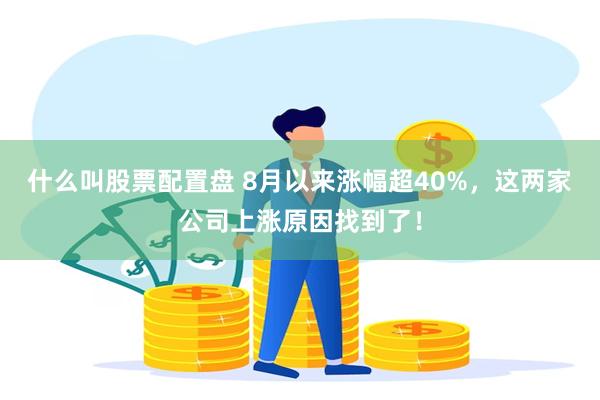 什么叫股票配置盘 8月以来涨幅超40%，这两家公司上涨原因找到了！