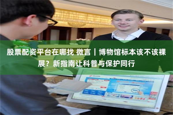 股票配资平台在哪找 微言｜博物馆标本该不该裸展？新指南让科普与保护同行