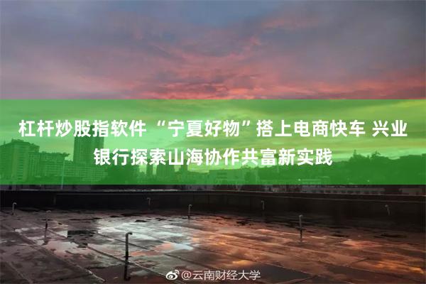 杠杆炒股指软件 “宁夏好物”搭上电商快车 兴业银行探索山海协作共富新实践