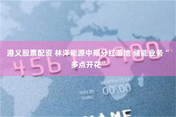 遵义股票配资 林洋能源中期分红落地 储能业务“多点开花”