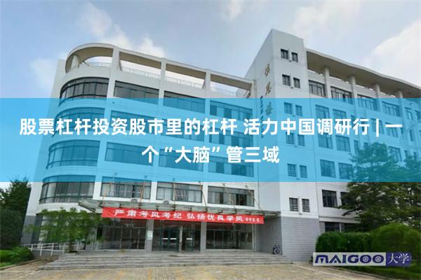 股票杠杆投资股市里的杠杆 活力中国调研行 | 一个“大脑”管三域